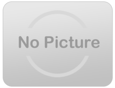 Golden Ticket Golden Ticket